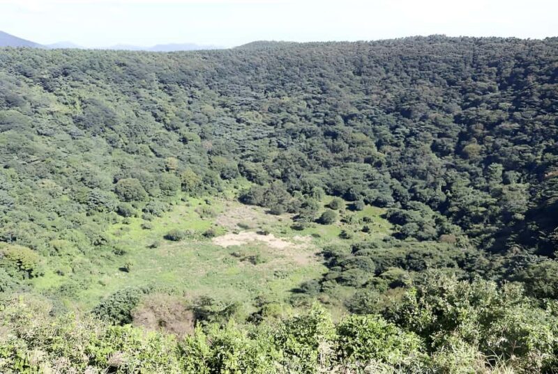 2025 Jeju Autumn Tour with Pink Muhly Festival Hotel pickup - FAQ