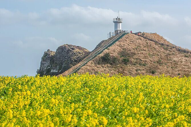 2026 Cherry Blossom East Day Tour in Jeju with UNESCO - The Sum Up: Is This Tour Right for You?