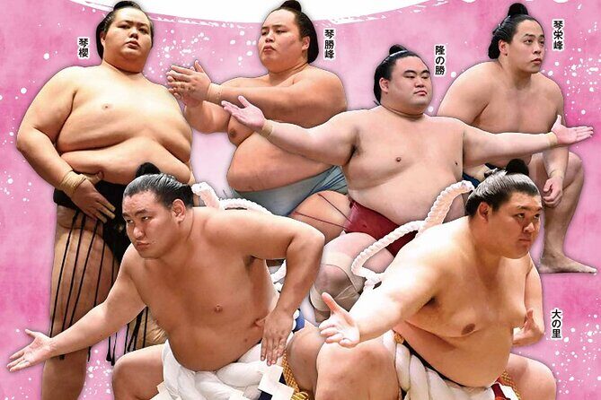 2026 Spring Sumo Tour - Regional Exhibition Viewing - What to Expect from the Experience