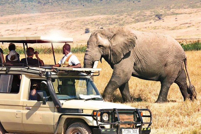 21 Days Best of Kenya & Tanzania Safari, Mount Kilimanjaro Hike & Diani Beach - Mount Kilimanjaro Trek