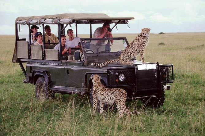 21 Days Best of Kenya & Tanzania Safari, Mount Kilimanjaro Hike & Diani Beach - Accommodation Details
