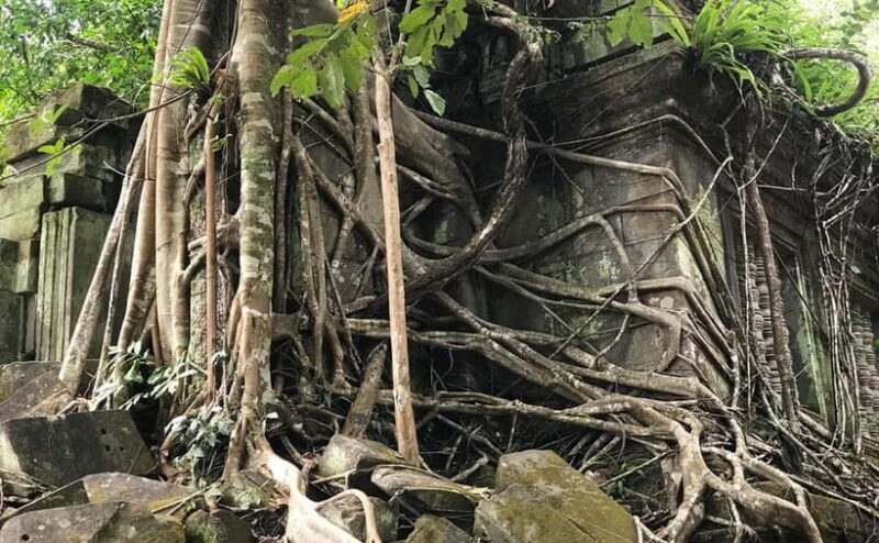 24-Day Cambodia Discovery: From Temple & Wildlife to Beaches - Good To Know