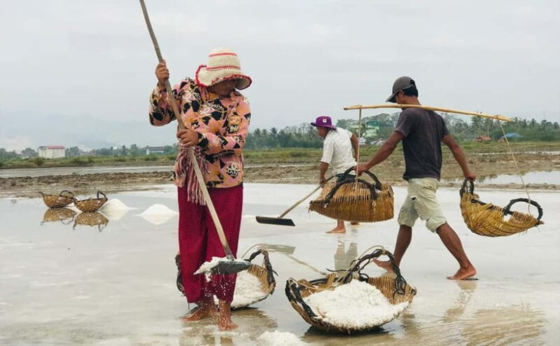 24-Day Cambodia Discovery: From Temple & Wildlife to Beaches - A Closer Look at the 24-Day Cambodia Discovery Tour