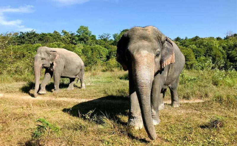 24-Day Cambodia Discovery: From Temple & Wildlife to Beaches - Moving to the Islands: Beaches and Relaxation
