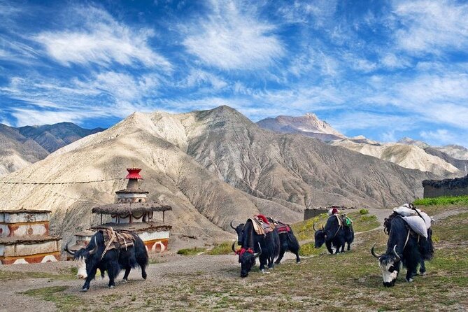 24-Days Upper Dolpo Trek - The Sum Up