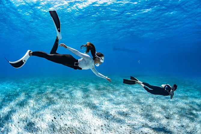24h Snorkel Rental Equipment, Discover Tenerife on Your Own! - What to Expect