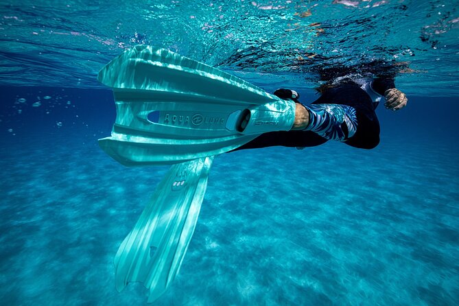 24h Snorkel Rental Equipment, Discover Tenerife on Your Own! - Directions to the Meeting Point