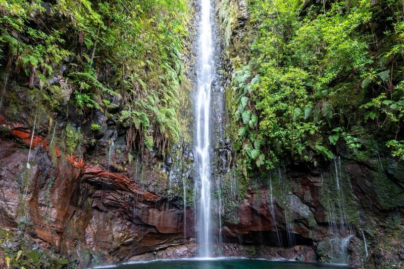 25 Fontes and Risco Levada Self-Guided Hike Transfer - From Funchal to the Rabaçal trailhead