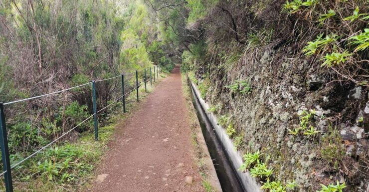25 Fontes Levada Hike - Rabaçal (Calheta) - Booking Details