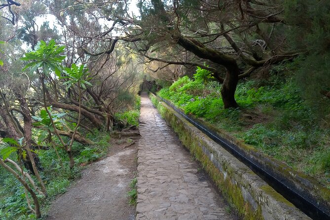 25 Fountains Levada Walk in Rabaçal Transfer - What to Bring