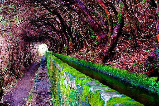 25 Fountains" Walk / Lost In The Beautiful Forest - Traveler Photos and Reviews