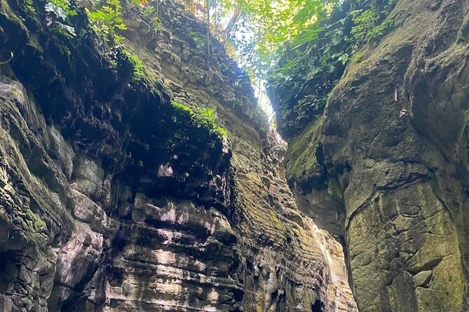 27 Waterfalls Adventure Private Tour in Charcos De Damajagua - What to Expect