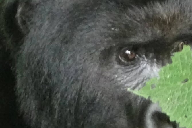 29 Day Roadtrip Uganda, Rwanda, Congo DRC and Burundi - Good To Know
