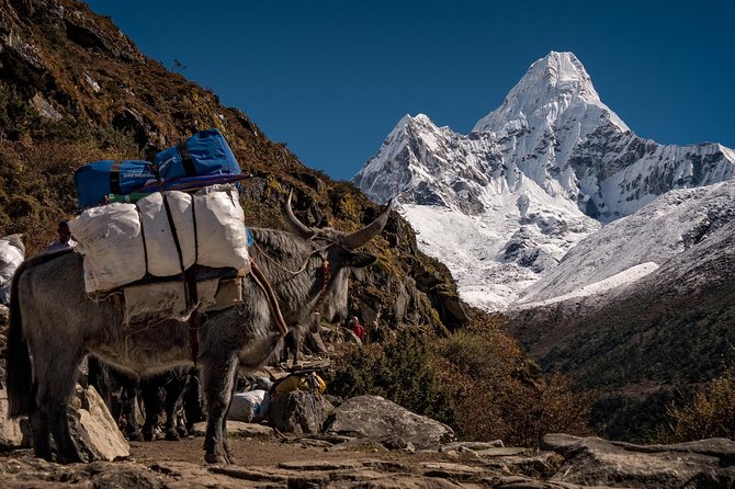 29 Days Mt. Everest AMA DABLAM Expedition - Sherpa Support