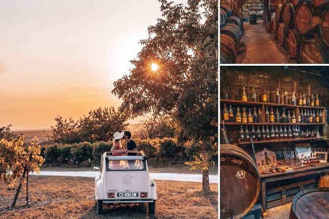 2CV Ride in the Cognac Vineyards - Exploring the Cognac Vineyards