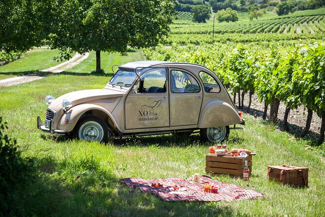 2CV Ride in the Cognac Vineyards - Visiting Renowned Wineries