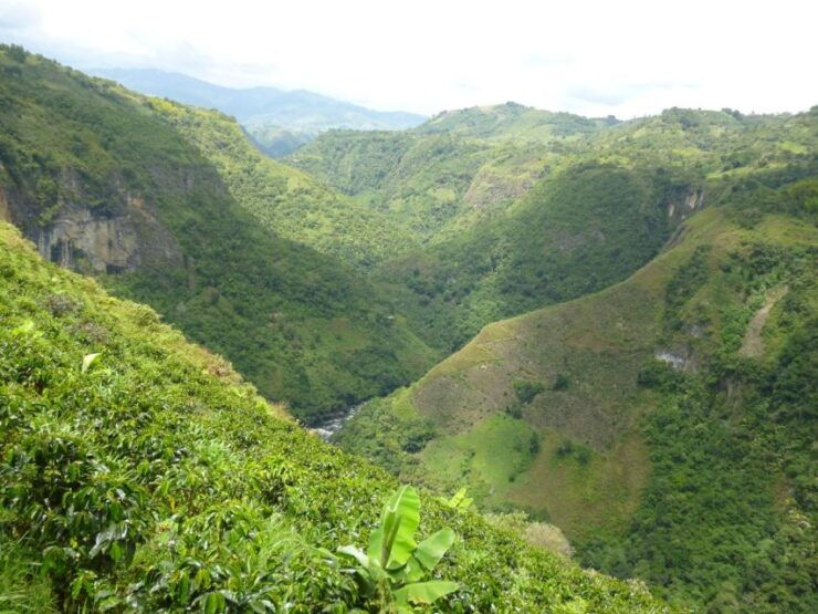 2D/1N Private Culture & Archaeological Tour in San Agustín - Tour Experience