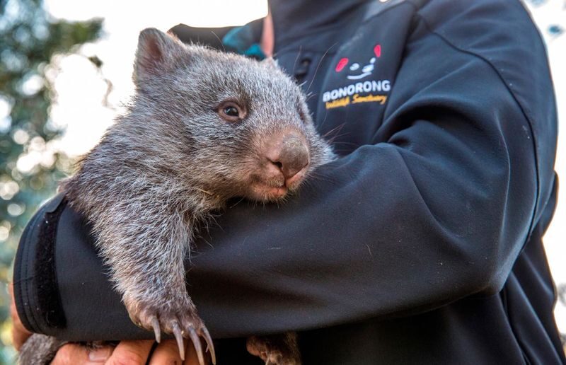 2D Hobart & Bruny Island Sightseeing Tour from Tasmania - Two days, two sides of southern Tasmania