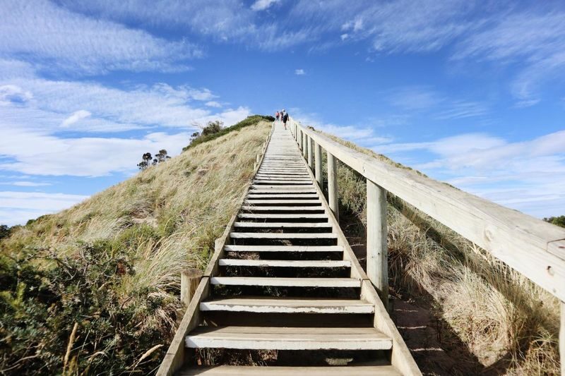 2D Hobart & Bruny Island Sightseeing Tour from Tasmania - Day two: Bruny Island’s wild coast and forest