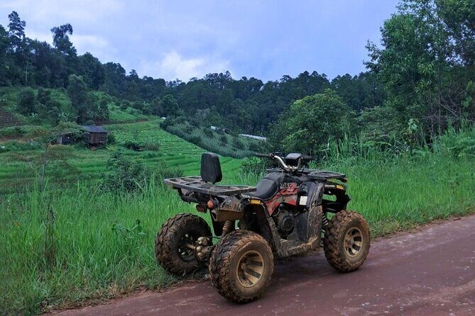2D1N: ATV Ride, Elephant Sanctuary, Overnight in Stylish Dome - Final Thoughts: Is This Tour Worth It?