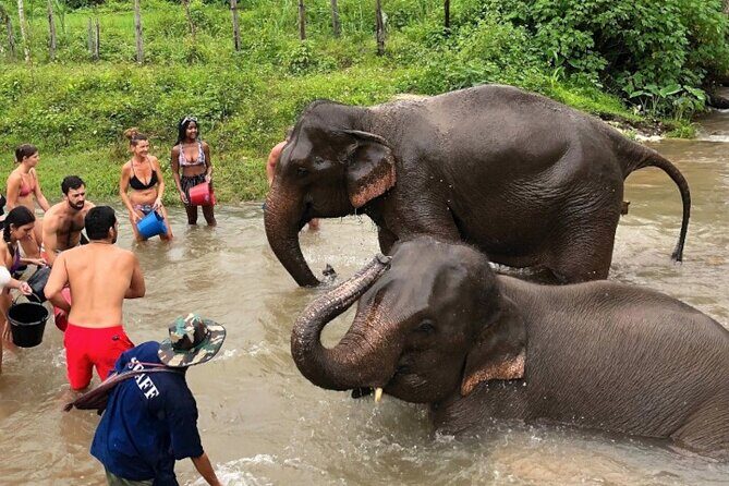 2D1N: ATV Ride, Elephant Sanctuary, Overnight in Stylish Dome - FAQ