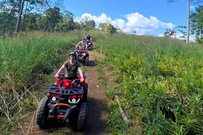 2D1N: ATV Ride, Elephant Sanctuary, Overnight in Stylish Dome - What to Expect from the 2D1N Chiang Mai Adventure