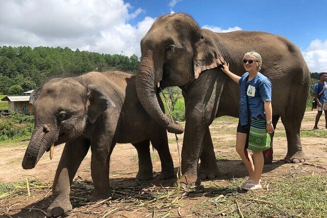 2D1N: ATV Ride, Elephant Sanctuary, Overnight in Stylish Dome - FAQs