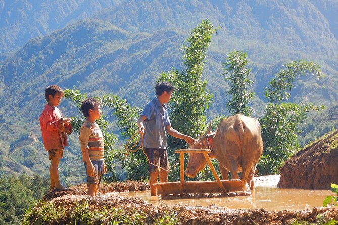 2D1N Buffalo Trek by Hmong Sister House and Trekking - What to Expect on the Trek