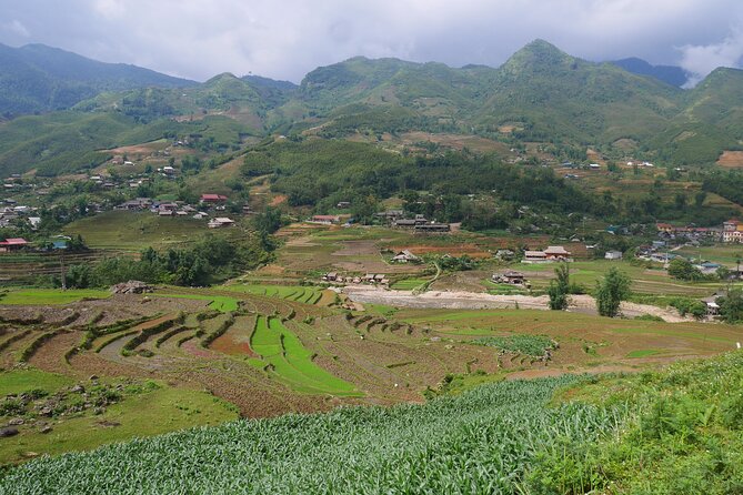 2D1N Buffalo Trek by Hmong Sister House and Trekking - Tips for a Successful Buffalo Trek
