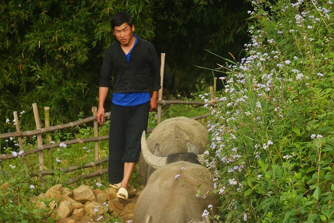 2D1N Buffalo Trek by Hmong Sister House and Trekking - How to Book the Buffalo Trek