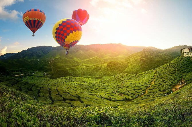 2D1N Cameron Highlands, Batu Caves, Ipoh, Kuala SelangorFireflies - Good To Know