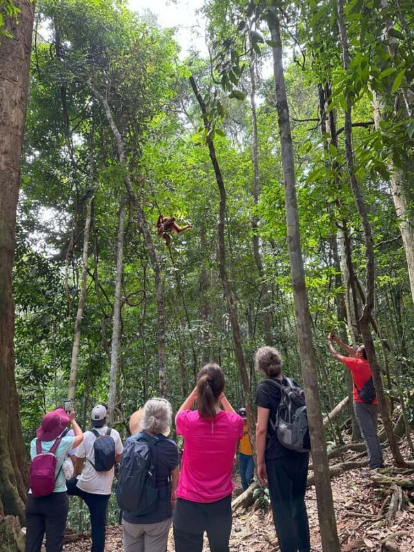 2D1N Ethical Jungle Trekking with Orangutans in Bukit Lawang - Practical Details and Tips