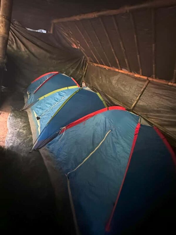 2D1N Ethical Jungle Trekking with Orangutans in Bukit Lawang - Final Thoughts: Who Is This Tour Best For?