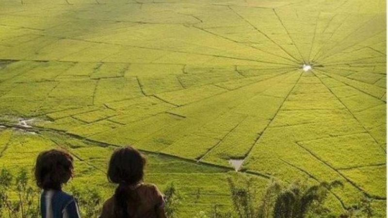 2D1N Exotic Waerebo Village Tour from Labuan Bajo - The journey from Labuan Bajo to the trail