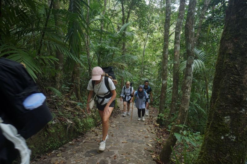 2D1N Exotic Waerebo Village Tour from Labuan Bajo - Lingko’s spider-web rice fields