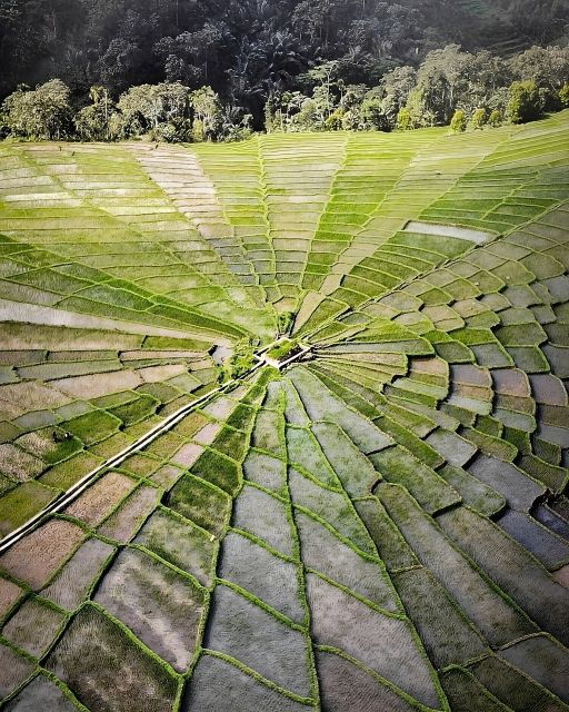 2D1N Exotic Waerebo Village Tour From Labuan Bajo - Prohibitions and Limitations