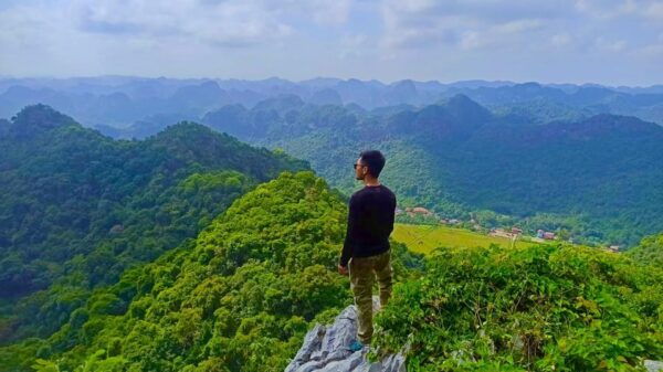 2D1N Explore the Majestic Cat Ba National Park & Lan Ha Bay - Inclusions and Exclusions