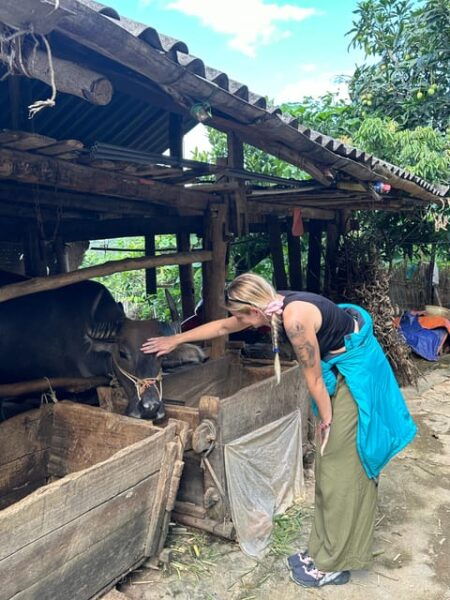 2D1N Ha Giang Loop Motorbike Tour - Camping on The Mountain - Booking and Cancellation Policy