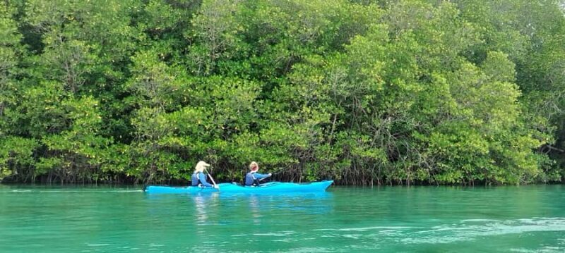 2D1N Komodo Kayak Tour - Why This Tour Stands Out