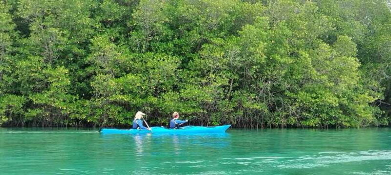2D1N Komodo Kayak Tour - FAQ