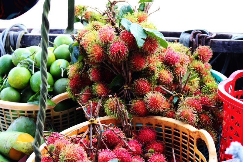 2D1N Mekong Delta with Floating Market Guided Tour - Guides, group size and the feel of the trip