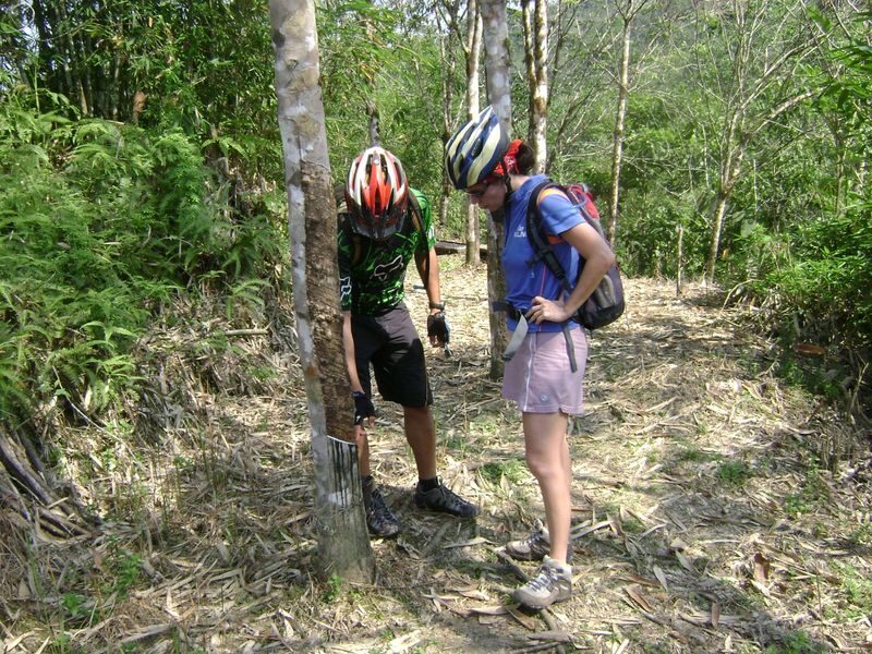 2D1N Mountain Biking Adventure and Kiulu Rafting in Kota Kinabalu - Day two: breakfast, rapids and body rafting