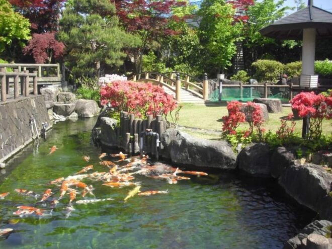 2D1N Niigata Summer Getaway:Enjoy the Gorgeous Fireworks Etc - Day 2 Adventures