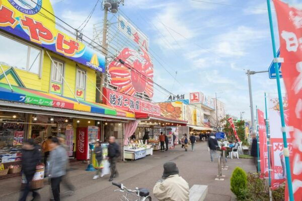 2D1N Niigata Summer Getaway:Enjoy the Gorgeous Fireworks Etc - Important Information