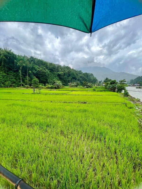 2D1N NORTHERN SABAH HIDDEN GEM & MARI MARI CULTURAL VILLAGE - Who Should Consider This Tour?