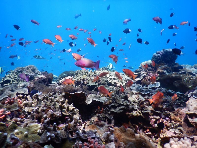 2D1N Nusa Penida, Nusa Lembongan and Nusa Ceningan Tour from Bali - Guides, roads and the kind of service to expect