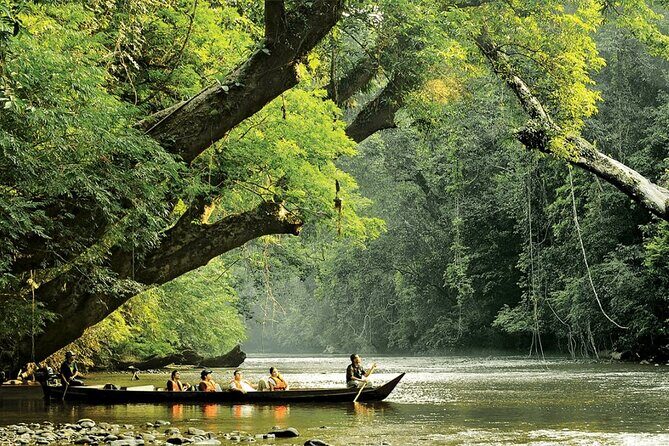 2D1N Taman Negara Rainforest Tour and Boat Ride - Good To Know