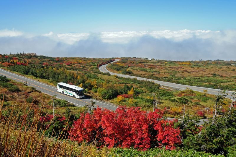 2D1N Tateyama Kurobe Alpine Route & Kamikochi Trip from Nagoya - A night in Hakuba, with comfort that can vary