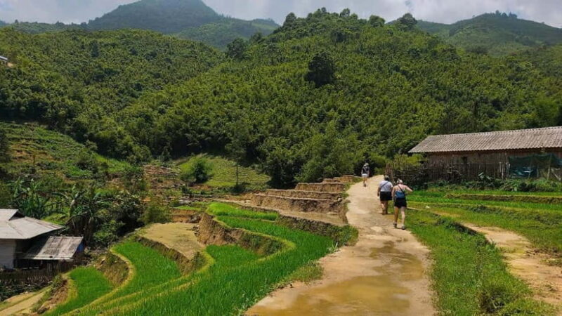 2D1N Trek: Ta Van & Lao Chai Rice Terrace Trails - Final Thoughts
