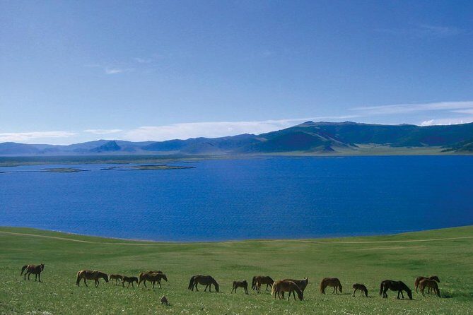 2D,1N Two National Parks Khustai, Terelj and Ginggis Statue Mongolia - Good To Know